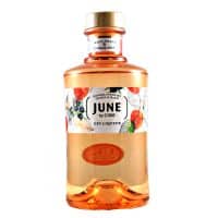 June by G'vine Gin & Dispenser - 30% - 70cl - Fransk Gin
