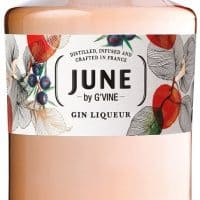 June By Gvine Wild Peach & Fruits Gin