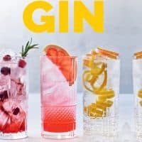 Gin - din guide til de bedste smagsoplevelser