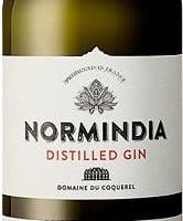 Normindia Gin Fl 70