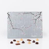 Summerbirds Julekalender Classic Single